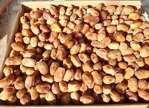 تصویر 2 از خرید خرما زاهدی تازه و ارگانیک
